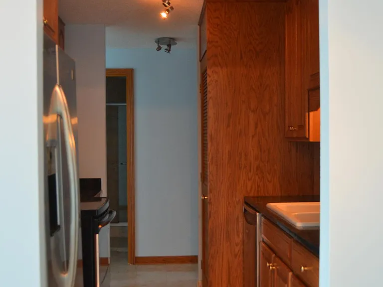 195 N Harbor Dr #4501 — Photo 17