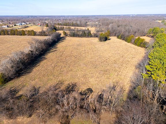 4th image of 8203 Horseshoe Rd