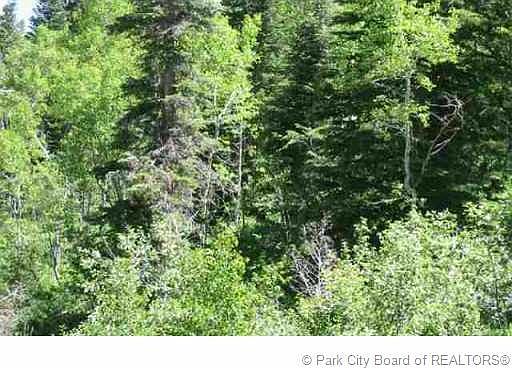 1st image of Pine Cir #C-56