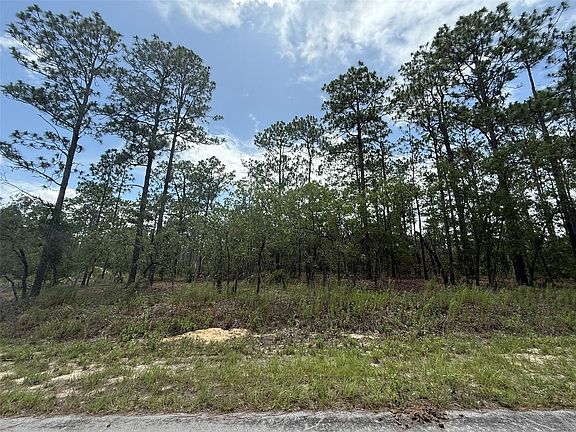 5th image of Tbd NW Tree Top Road