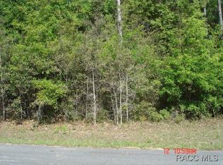 509 W Wason St, Citrus Springs, FL 34434