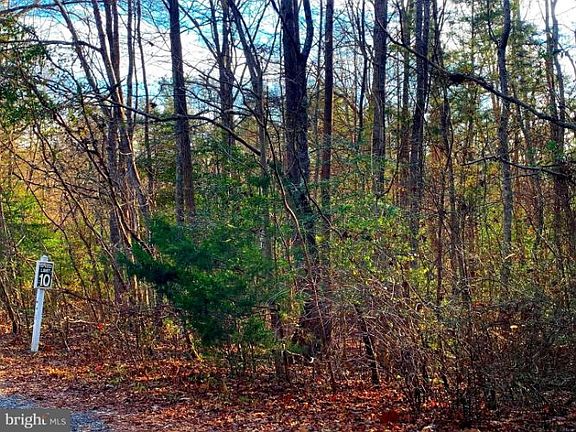3rd image of 9712 Sutters Rd