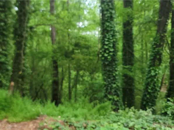 0 Shadowbrook Dr, Marietta, GA 30062