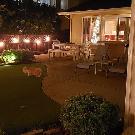 4th image of 1476 Crespi Dr