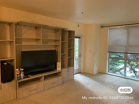 Living room: California Closet built-in Cabinets for added storage. Big windows look out to trees, plenty of privacy. Door goes out to private balcony.