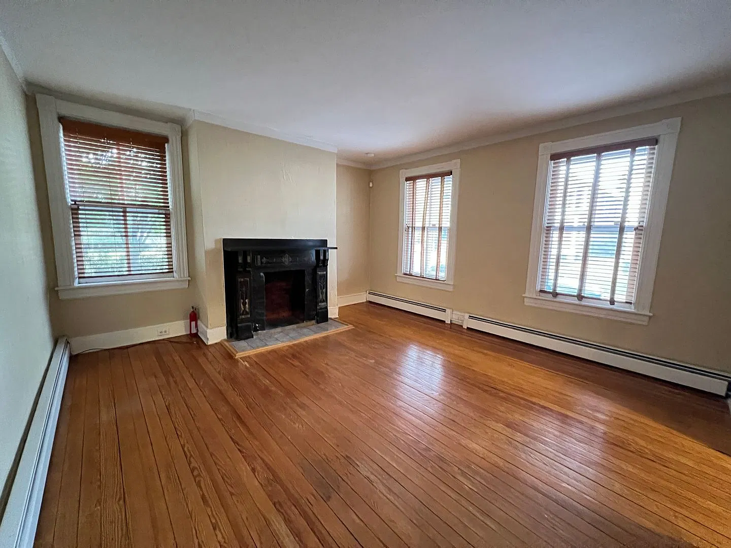 Quintessential Olde Towne living at its finest! Two Bedroom One Bath Single Family Home in Olde T... — Photo 3