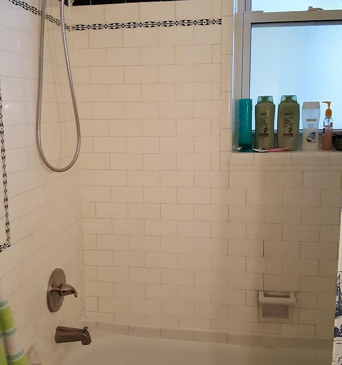 Bathroom shower with bathtub