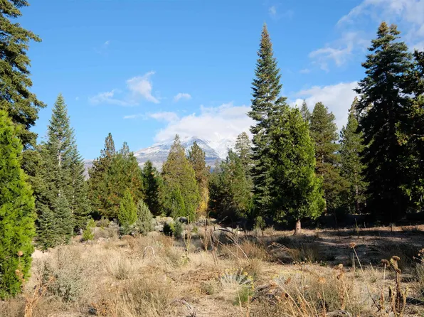 LOT 52 Hidden Meadow Dr, Weed, CA 96094