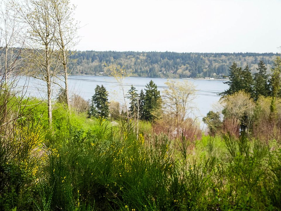 Clear trees for water view