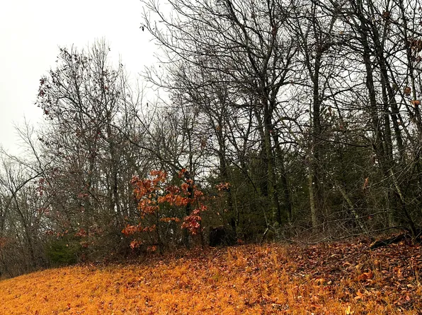 1.75+/- Acres Howard Bush, Neosho, MO 64850