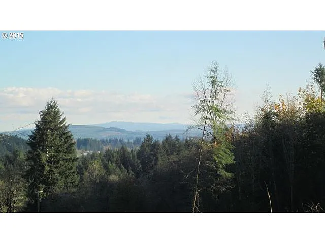 Johnson Rd photo 1