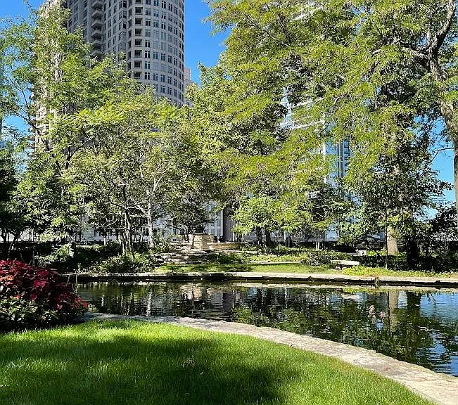 505 N Lake Shore Dr #1005 — Photo 2