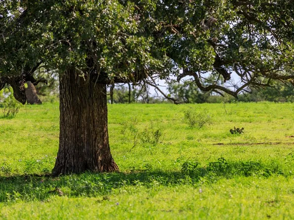 LOT 9 Art Hedwigs Hl, Mason, TX 76856