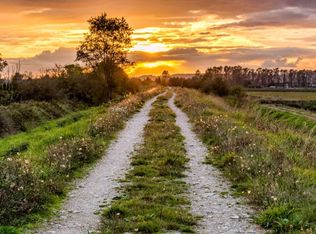 Dora's Rd, Four Oaks, NC 27524