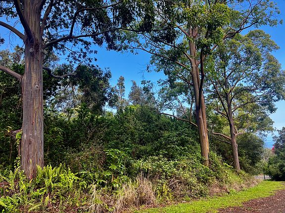 5th image of 88-2610 Papalani Pl Lot 5
