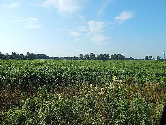 5th image of 1611 E Hyde Rd