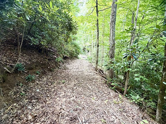 4th image of 0 State Route 1240 Sawyers Creek Rd