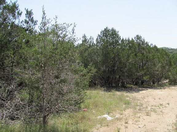 2nd image of 305 Canyon Springs Dr