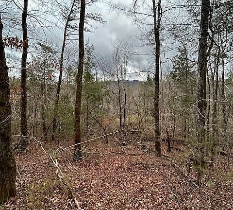 4th image of 329 Beckett Ridge Rd #5