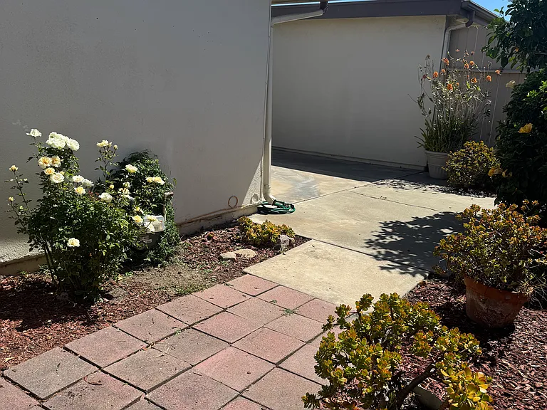 9842 Verde Mar Dr — Photo 36