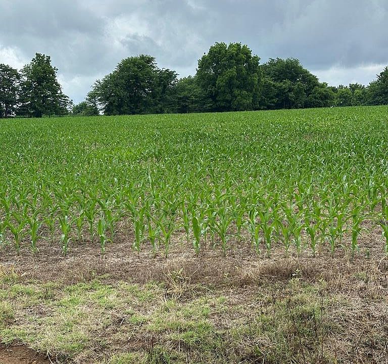 1st image of 0 Cannon Store Rd
