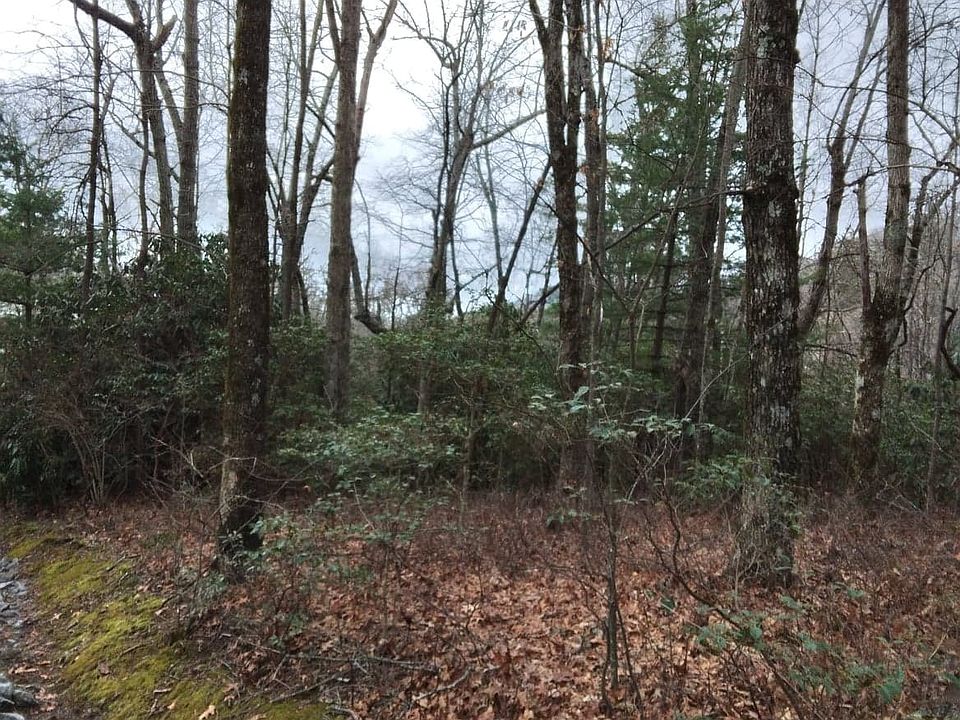 0 Honey Bear Ln Dillard, GA, 30537 Apartments for Rent Zillow