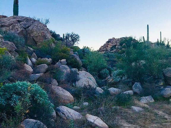4th image of 657 W Granite Gorge Dr