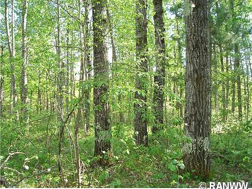 5th image of 0 Chickadee Lane