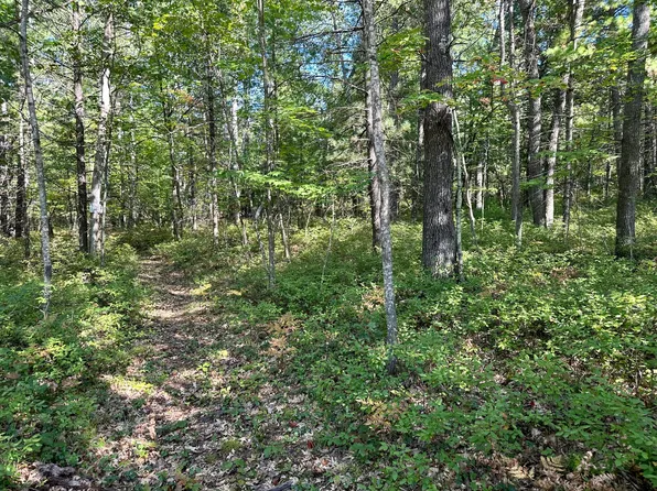 Murray St, Hillman, MI 49746