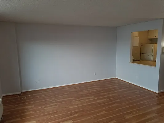 Rented by Compass | media 16