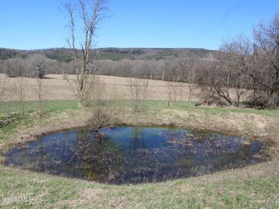 163 Sickle Hill Road, Berne, NY, 12023