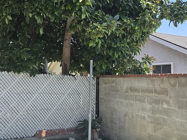 1702 Wollacott St — Photo 3