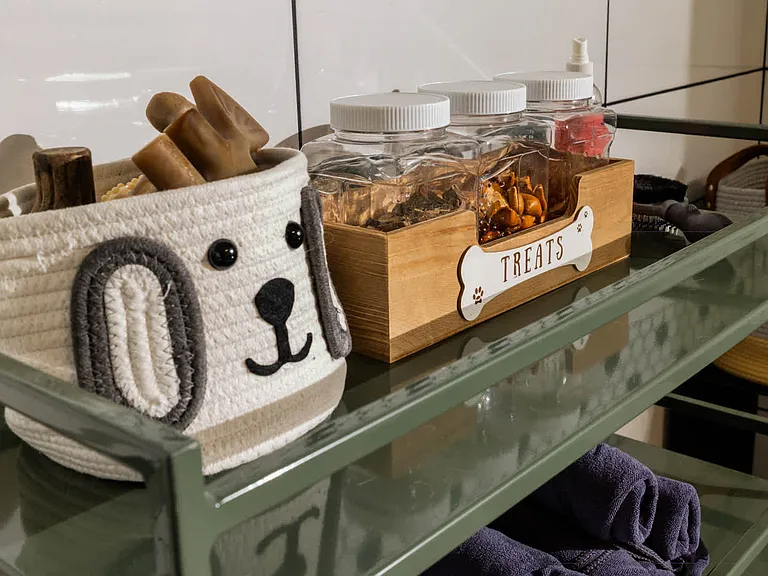 Pet Spa
