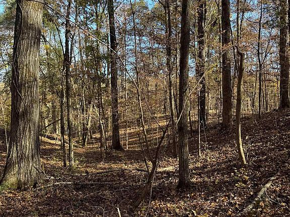 4th image of 2270 Birmingham Rd