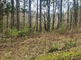 0 Davis Hill Rd, Centralia, WA 98531