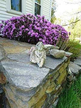 1475 Savoy Rd Outside Spring 09