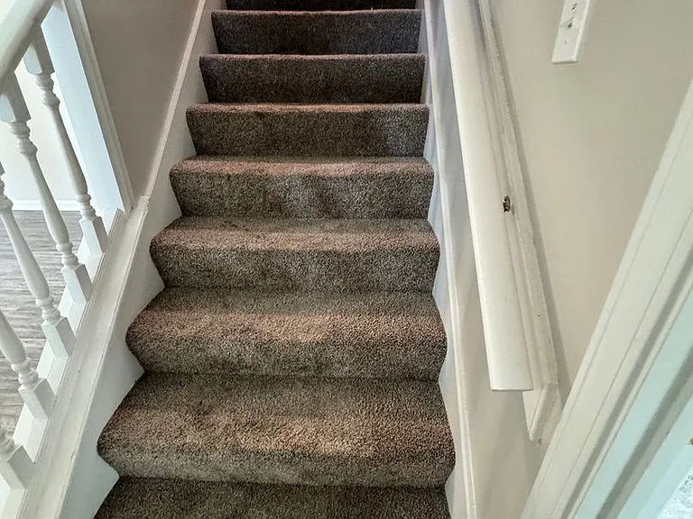386 Wylie Dr — Photo 11