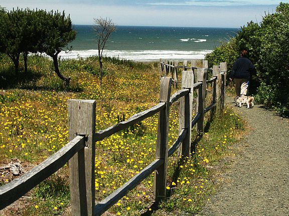 Private Beach Path
