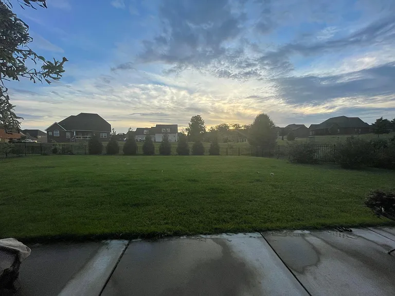fenced back yard