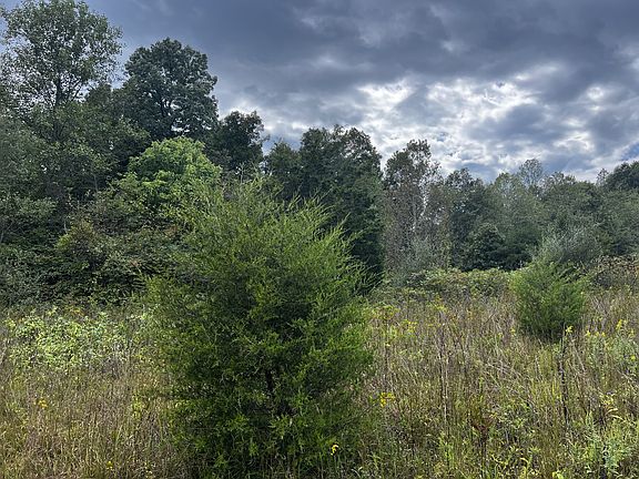 4th image of 0 Ovilla Ln