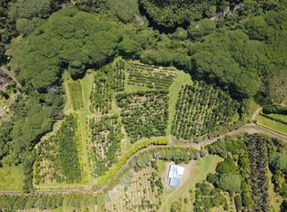 29-2109 Kaiwiki Homestead Rd LOT 27-A, Hakalau, HI 96710