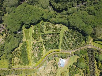 29-2109 Kaiwiki Homestead Rd, Hakalau, HI, 96710