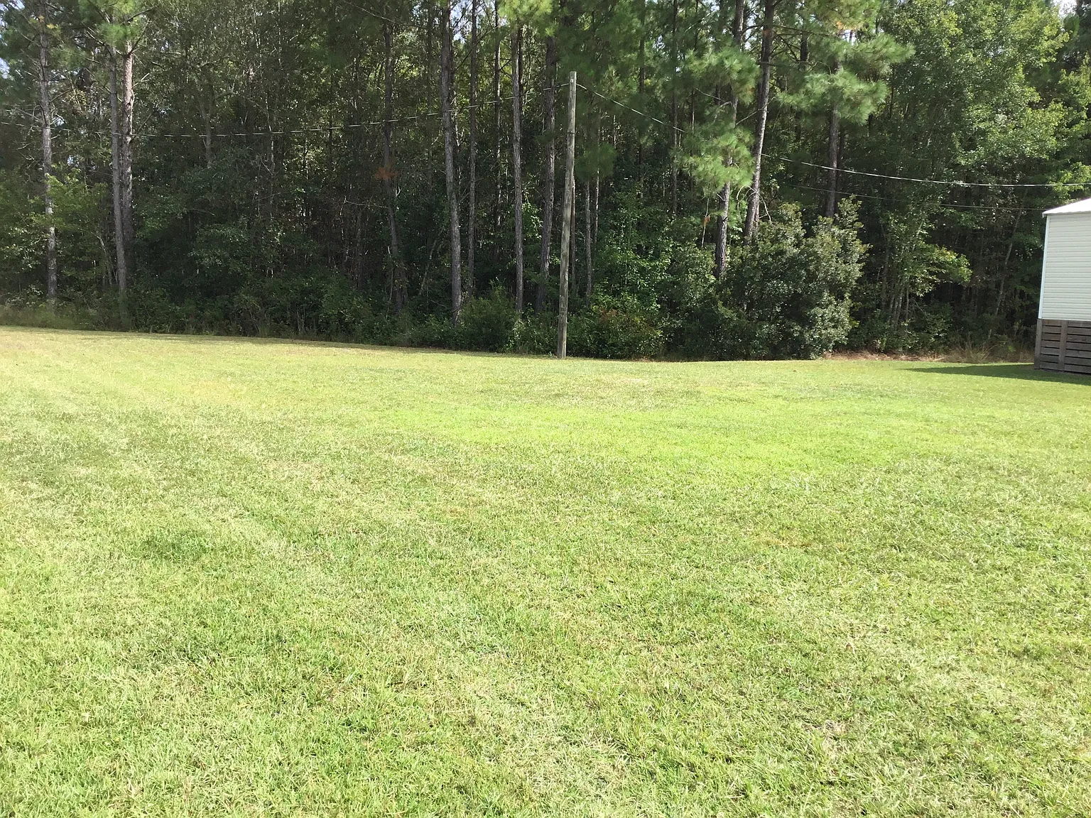 3 bed, 900 sqft, $1,200 — Photo 4