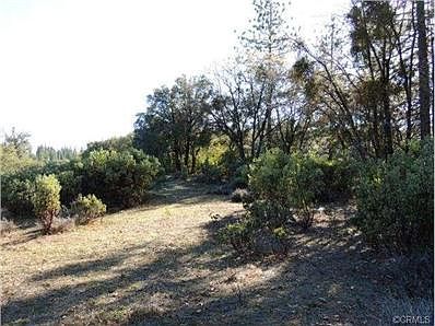 Undeveloped second home site.