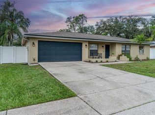 739 Isleton Dr, Brandon, FL 33511