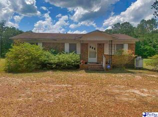 1502 Flinn Rd, Manning, SC 29102