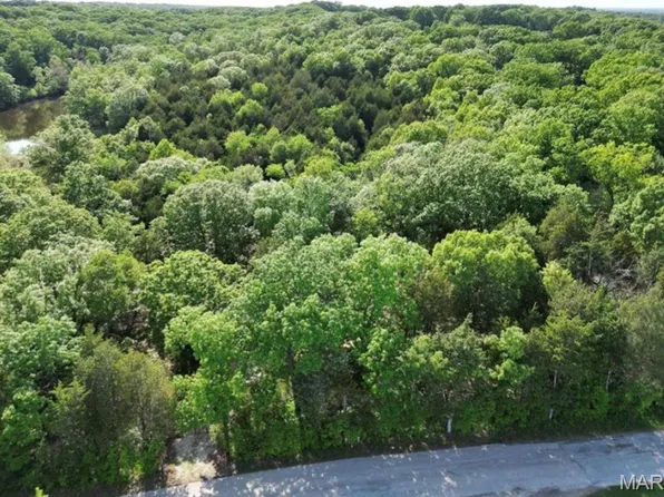 9041 Rye Creek Rd, Lonedell, MO 63060