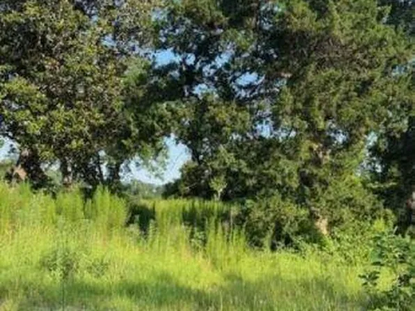 1096 Buchanan Rd, Manning, SC 29102