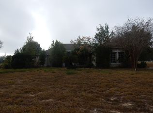 12800 Leatrice Dr, Clermont, FL 34715
