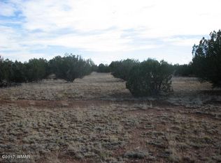 SW4 Sec 7 T14n R16e N2 Nw4 Cres, Heber, AZ 85928